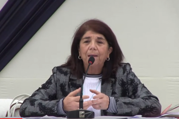 Rol de las Universidades en el combate a la violencia contra la Mujer  Dra. Patricia Mariella Ruiz Bravo López - Pontificia Universidad Católica del Perú